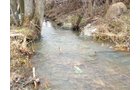Property photo 10 - 74.45 Acres Offered in 3 Tracts - 55+/- Tillable Acres Per FSA