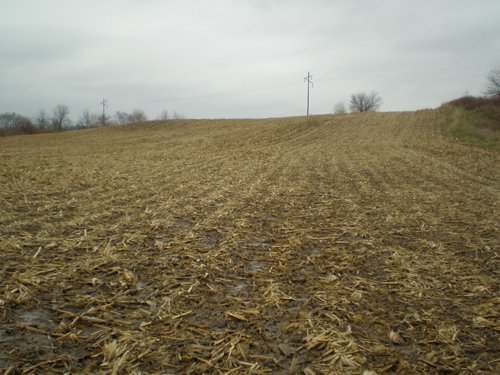 Property photo 5 - 74.45 Acres Offered in 3 Tracts - 55+/- Tillable Acres Per FSA