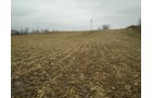 Property photo 5 - 74.45 Acres Offered in 3 Tracts - 55+/- Tillable Acres Per FSA
