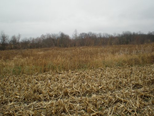 Property photo 3 - 74.45 Acres Offered in 3 Tracts - 55+/- Tillable Acres Per FSA