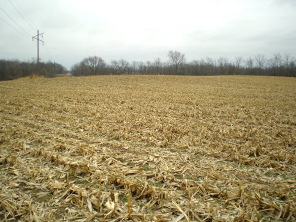 74.45 Acres Offered in 3 Tracts - 55+/- Tillable Acres Per FSA