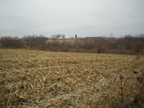 Property photo 8 - 74.45 Acres Offered in 3 Tracts - 55+/- Tillable Acres Per FSA