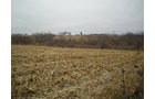Property photo 8 - 74.45 Acres Offered in 3 Tracts - 55+/- Tillable Acres Per FSA