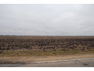 Property photo 100 - Major Illinois Farmland Auction - 1,322+/- Acres Offered in 9 Tracts
