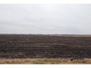 Property photo 96 - Major Illinois Farmland Auction - 1,322+/- Acres Offered in 9 Tracts