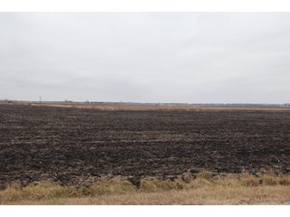 Property photo 126 - Major Illinois Farmland Auction - 1,322+/- Acres Offered in 9 Tracts