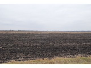 Property photo 95 - Major Illinois Farmland Auction - 1,322+/- Acres Offered in 9 Tracts