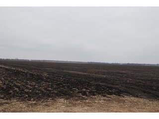 Property photo 125 - Major Illinois Farmland Auction - 1,322+/- Acres Offered in 9 Tracts