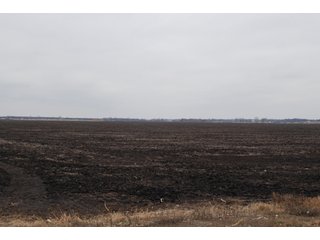 Property photo 91 - Major Illinois Farmland Auction - 1,322+/- Acres Offered in 9 Tracts