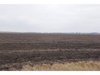 Property photo 110 - Major Illinois Farmland Auction - 1,322+/- Acres Offered in 9 Tracts