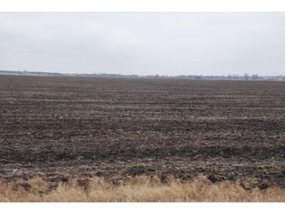 Property photo 129 - Major Illinois Farmland Auction - 1,322+/- Acres Offered in 9 Tracts