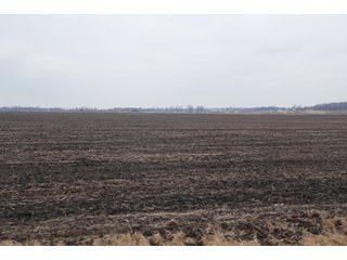 Property photo 116 - Major Illinois Farmland Auction - 1,322+/- Acres Offered in 9 Tracts