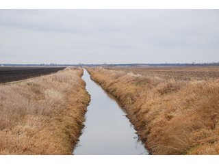 Property photo 93 - Major Illinois Farmland Auction - 1,322+/- Acres Offered in 9 Tracts