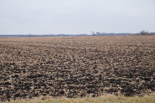 Proventus IL, Whiteside County