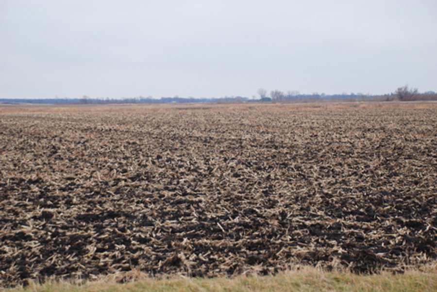 Major Illinois Farmland Auction - 1,322+/- Acres Offered in 9 Tracts