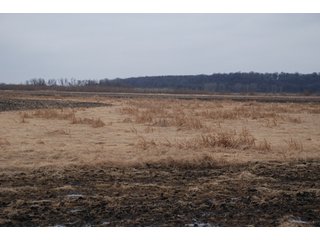 Property photo 97 - Major Illinois Farmland Auction - 1,322+/- Acres Offered in 9 Tracts