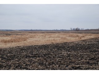 Property photo 90 - Major Illinois Farmland Auction - 1,322+/- Acres Offered in 9 Tracts