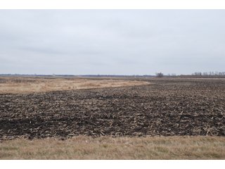 Property photo 118 - Major Illinois Farmland Auction - 1,322+/- Acres Offered in 9 Tracts