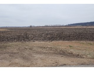 Property photo 108 - Major Illinois Farmland Auction - 1,322+/- Acres Offered in 9 Tracts