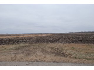 Property photo 115 - Major Illinois Farmland Auction - 1,322+/- Acres Offered in 9 Tracts