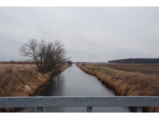 Property photo 128 - Major Illinois Farmland Auction - 1,322+/- Acres Offered in 9 Tracts