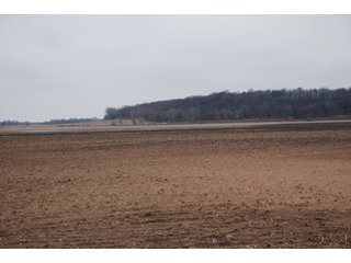 Property photo 88 - Major Illinois Farmland Auction - 1,322+/- Acres Offered in 9 Tracts