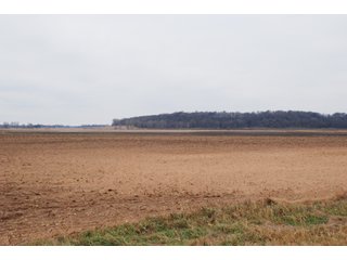 Property photo 124 - Major Illinois Farmland Auction - 1,322+/- Acres Offered in 9 Tracts