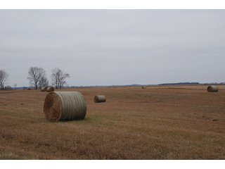 Property photo 102 - Major Illinois Farmland Auction - 1,322+/- Acres Offered in 9 Tracts