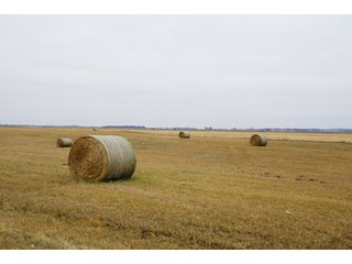 Property photo 131 - Major Illinois Farmland Auction - 1,322+/- Acres Offered in 9 Tracts