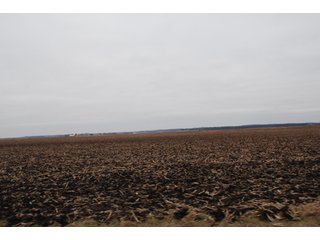 Property photo 123 - Major Illinois Farmland Auction - 1,322+/- Acres Offered in 9 Tracts