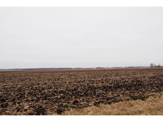 Property photo 89 - Major Illinois Farmland Auction - 1,322+/- Acres Offered in 9 Tracts