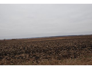 Property photo 111 - Major Illinois Farmland Auction - 1,322+/- Acres Offered in 9 Tracts