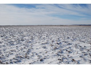 Tract 1 - Major Illinois Farmland Auction - 1,322+/- Acres Offered in 9 Tracts