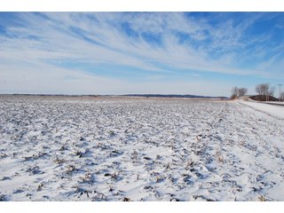 Tract 1 - Major Illinois Farmland Auction - 1,322+/- Acres Offered in 9 Tracts