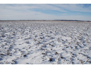 Tract 1 - Major Illinois Farmland Auction - 1,322+/- Acres Offered in 9 Tracts