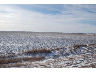 Tract 1 - Major Illinois Farmland Auction - 1,322+/- Acres Offered in 9 Tracts
