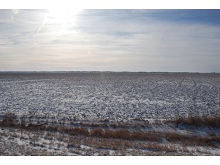 Tract 1 - Major Illinois Farmland Auction - 1,322+/- Acres Offered in 9 Tracts
