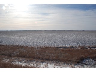 Tract 1 - Major Illinois Farmland Auction - 1,322+/- Acres Offered in 9 Tracts