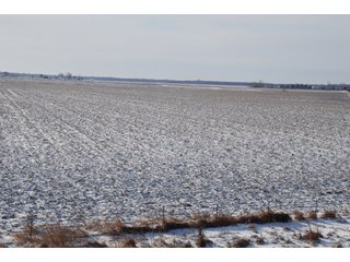 Tract 1 - Major Illinois Farmland Auction - 1,322+/- Acres Offered in 9 Tracts