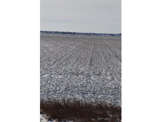Tract 1 - Major Illinois Farmland Auction - 1,322+/- Acres Offered in 9 Tracts