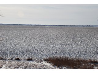 Tract 1 - Major Illinois Farmland Auction - 1,322+/- Acres Offered in 9 Tracts