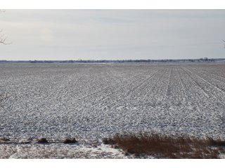 Tract 1 - Major Illinois Farmland Auction - 1,322+/- Acres Offered in 9 Tracts