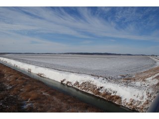 Tract 2 - Major Illinois Farmland Auction - 1,322+/- Acres Offered in 9 Tracts