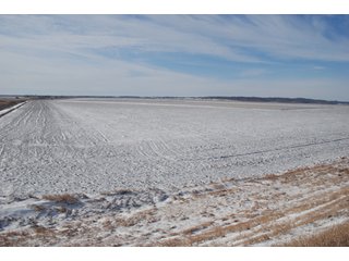 Tract 2 - Major Illinois Farmland Auction - 1,322+/- Acres Offered in 9 Tracts