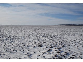 Tract 2 - Major Illinois Farmland Auction - 1,322+/- Acres Offered in 9 Tracts