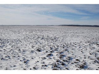 Tract 2 - Major Illinois Farmland Auction - 1,322+/- Acres Offered in 9 Tracts
