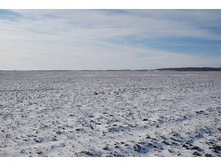 Tract 3 - Major Illinois Farmland Auction - 1,322+/- Acres Offered in 9 Tracts