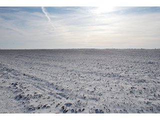 Tract 3 - Major Illinois Farmland Auction - 1,322+/- Acres Offered in 9 Tracts