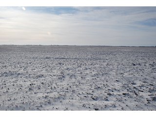 Tract 3 - Major Illinois Farmland Auction - 1,322+/- Acres Offered in 9 Tracts