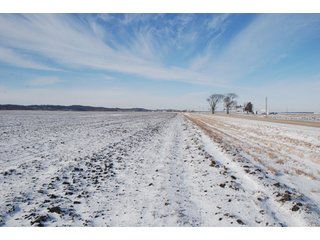 Tract 3 - Major Illinois Farmland Auction - 1,322+/- Acres Offered in 9 Tracts